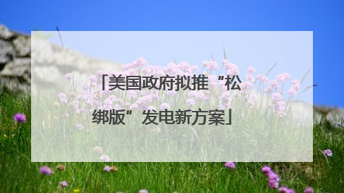 美国政府拟推“松绑版”发电新方案