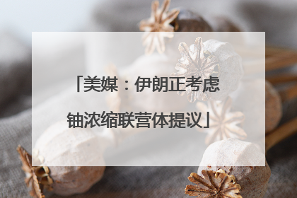 美媒：伊朗正考虑铀浓缩联营体提议