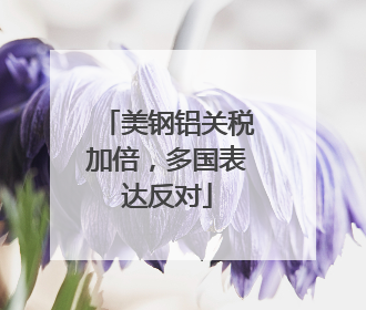 美钢铝关税加倍，多国表达反对