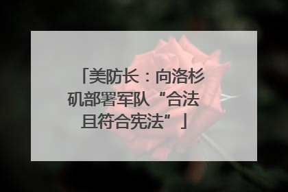美防长：向洛杉矶部署军队“合法且符合宪法”