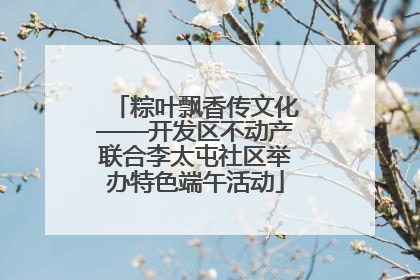 粽叶飘香传文化——开发区不动产联合李太屯社区举办特色端午活动