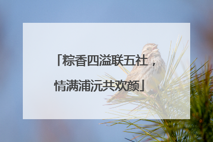 粽香四溢联五社，情满浦沅共欢颜