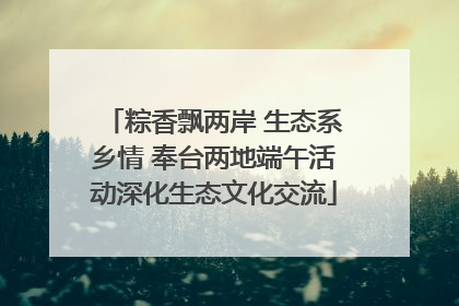 粽香飘两岸 生态系乡情 奉台两地端午活动深化生态文化交流