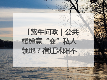 紫牛问政｜公共楼梯竟“变”私人领地？宿迁沭阳不动产登记引质疑
