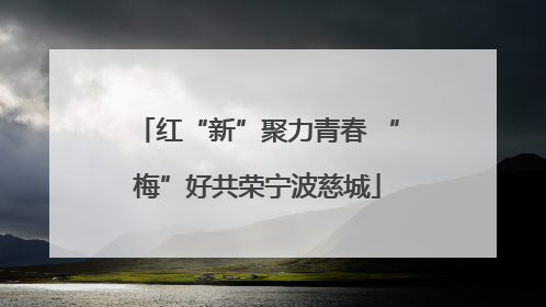 红“新”聚力青春 “梅”好共荣宁波慈城