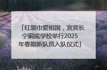 红领巾爱祖国，宜宾长宁硐底学校举行2025年春期新队员入队仪式