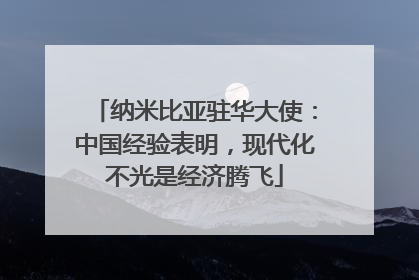 纳米比亚驻华大使：中国经验表明，现代化不光是经济腾飞