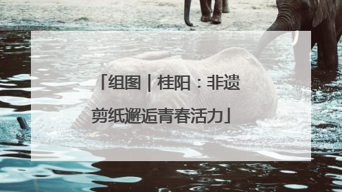 组图｜桂阳：非遗剪纸邂逅青春活力