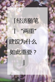 经济随笔丨“两重”建设为什么如此重要？