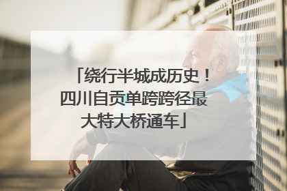 绕行半城成历史！四川自贡单跨跨径最大特大桥通车