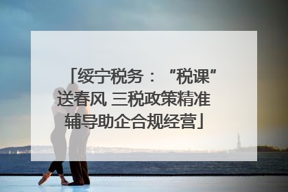 绥宁税务：“税课”送春风 三税政策精准辅导助企合规经营
