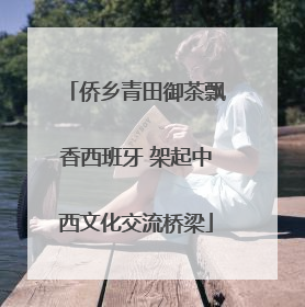 侨乡青田御茶飘香西班牙 架起中西文化交流桥梁