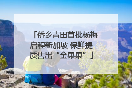侨乡青田首批杨梅启程新加坡 保鲜提质售出“金果果”