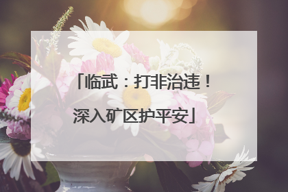 临武：打非治违！深入矿区护平安
