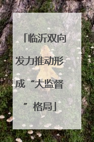 临沂双向发力推动形成“大监督”格局