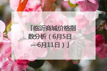 临沂商城价格指数分析（6月5日—6月11日）