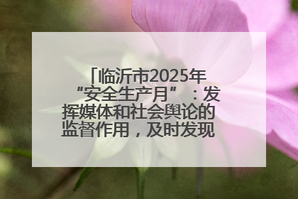 临沂市2025年“安全生产月”：发挥媒体和社会舆论的监督作用，及时发现并消除安全隐患