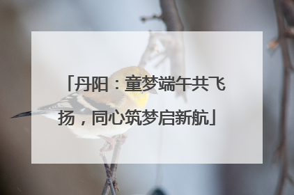 丹阳：童梦端午共飞扬，同心筑梦启新航