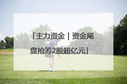 主力资金｜资金尾盘抢筹2股超亿元