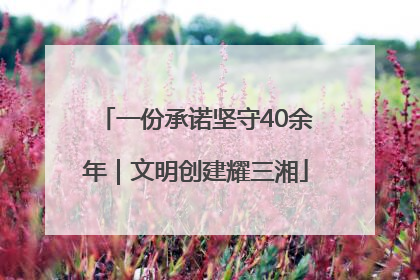 一份承诺坚守40余年｜文明创建耀三湘
