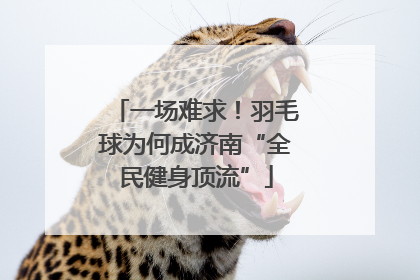 一场难求！羽毛球为何成济南“全民健身顶流”