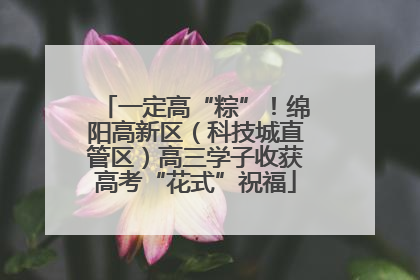 一定高“粽”！绵阳高新区（科技城直管区）高三学子收获高考“花式”祝福