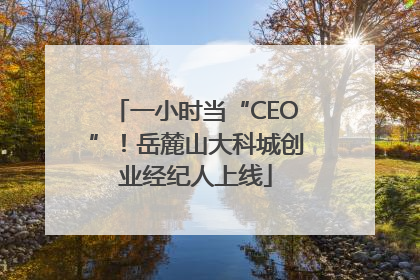 一小时当“CEO”！岳麓山大科城创业经纪人上线