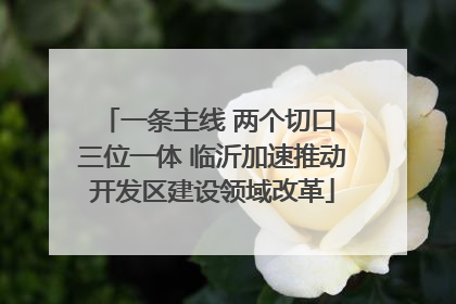 一条主线 两个切口 三位一体 临沂加速推动开发区建设领域改革