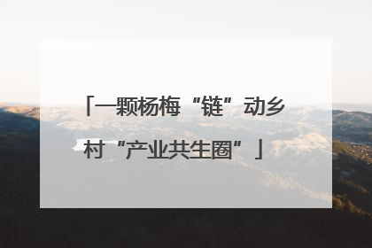 一颗杨梅“链”动乡村“产业共生圈”