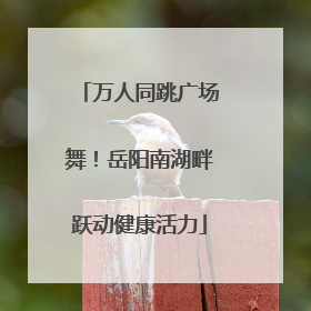 万人同跳广场舞！岳阳南湖畔跃动健康活力