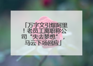 万字文引爆阿里！老员工离职称公司“失去梦想”，马云下场回应