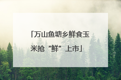 万山鱼塘乡鲜食玉米抢“鲜”上市