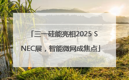 三一硅能亮相2025 SNEC展，智能微网成焦点