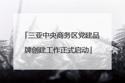 三亚中央商务区党建品牌创建工作正式启动