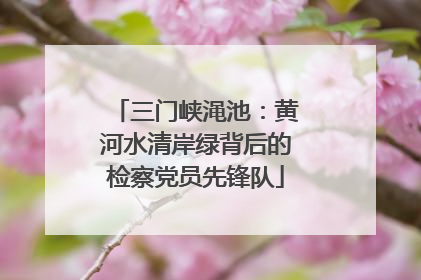 三门峡渑池：黄河水清岸绿背后的检察党员先锋队