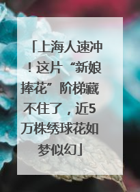 上海人速冲！这片“新娘捧花”阶梯藏不住了，近5万株绣球花如梦似幻
