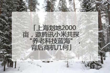 上海划地2000亩，邀腾讯小米共探“养老科技蓝海”，背后商机几何