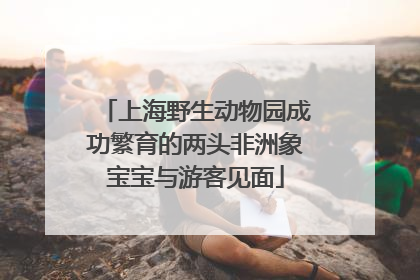 上海野生动物园成功繁育的两头非洲象宝宝与游客见面