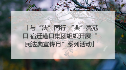 与“法”同行 “典”亮港口 宿迁港口集团组织开展“民法典宣传月”系列活动