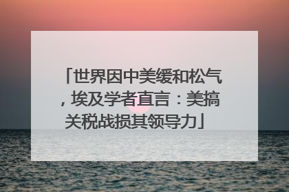 世界因中美缓和松气，埃及学者直言：美搞关税战损其领导力