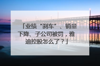 业绩“刹车”、销量下降、子公司被罚，雅迪控股怎么了？