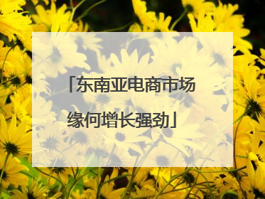 东南亚电商市场缘何增长强劲