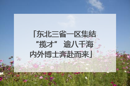 东北三省一区集结“揽才” 逾八千海内外博士奔赴而来
