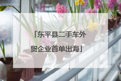 东平县二手车外贸企业首单出海