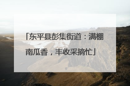 东平县彭集街道：满棚南瓜香，丰收采摘忙
