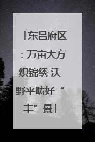 东昌府区：万亩大方织锦绣 沃野平畴好“丰”景