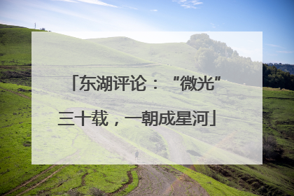 东湖评论：“微光”三十载，一朝成星河