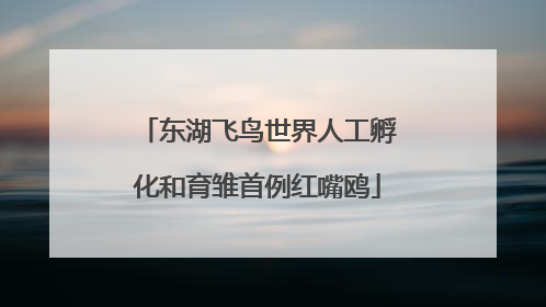 东湖飞鸟世界人工孵化和育雏首例红嘴鸥