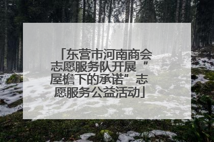 东营市河南商会志愿服务队开展“屋檐下的承诺”志愿服务公益活动