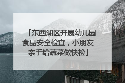 东西湖区开展幼儿园食品安全检查，小朋友亲手给蔬菜做快检